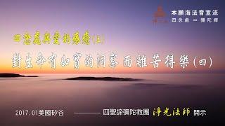 【四念處與愛的療癒(上)】──對生命有如實的洞察 而離苦得樂 (四) __ 淨光法師開示