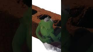 green screen test #funny #green #500subs #kermit