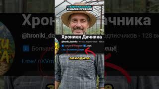 Пролейте этим помидоры и собирайте урожай до осени #томаты #помидоры #огород #сад #дача