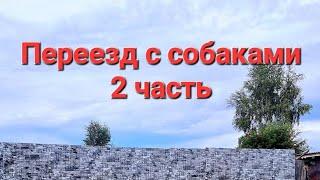 Переезд с собаками 2 часть