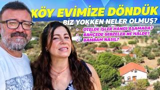 Köyde İşimiz Ne Durumda? Bahçemiz Ne Halde? Neler Olmuş? (Köye Göç - Assos'ta Köy Evi)