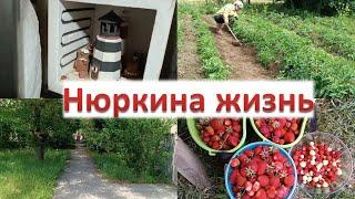 Пешком по станице // Урожай ягод //  Новые изделия // Работа на участке