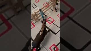 Конный клуб Петрухино  шпринт