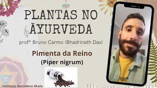 Pimenta do Reino (Piper nigrum) - Plantas no Ayurveda com o Profº Bruno Carmo (Bhadrinath Das)