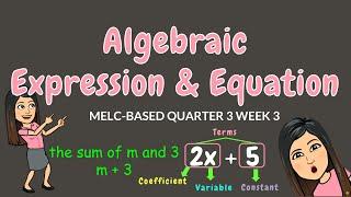 ALGEBRAIC EXPRESSIONS & EQUATIONS | GRADE 6