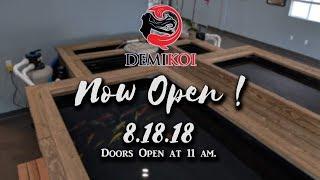 Demi Koi soft opens on 8.18.2018