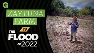 Zaytuna Farm Vs the Flood of 2022