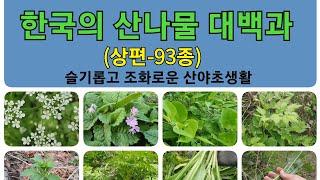 #한국의 산나물 대백과(상편-93종) 슬기롭고 조화로운 산야초생활을 지향합니다!(20220511)