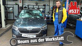 Skoda komplett ZERSTÖRT - nach nur 4.000 km!  | BMW 6er voller Nüsse!! 