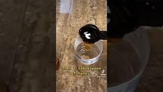 Homemade fly trap