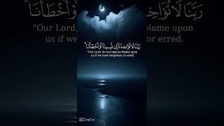 لا يُكَلِّفُ اللَّهُ نَفْسًا إِلَّا وُسْعَهَا ۚ لَهَا مَا كَسَبَتْ وَعَلَيْهَا مَا اكْتَسَبَتْ ۗ