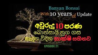 සැබෑ බොන්සායි ගසක ඇත්ත කතාව බොන්සායි කරනඅය බැලිය යුතුම වීඩියෝවක්The true story of a real bonsai tree