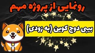 اخبار بیبی دوج: بیبی دوج کوین برای رقبا خط و نشون کشید!!! + رونمایی از پروژه مهم