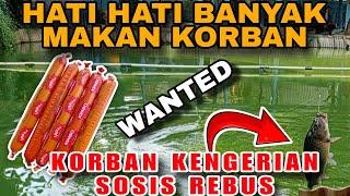 " PENJAHAT " Umpan Ini Terlalu Kejam Kalo Buat Harian, Terlalu Banyak Korban Keboncosan