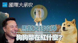 席捲全球的迷因狗狗幣是什麼？｜國際大風吹 Ep.162