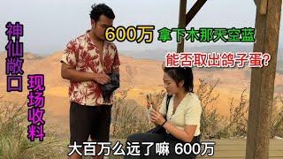 驻扎矿山中介家收料 600万拿下木那天空蓝 一颗鸽子蛋就回本？