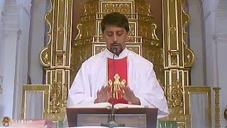 Daily Mass - Konkani - Livestream - 8 May 2020, 7 AM - Fr Bolmax Pereira - SFX Chicalim