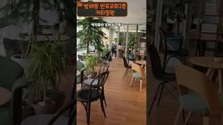 넓은 공간에 분위기 끝내주는 실내정원 카페 #방배분위기 좋은카페