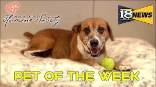 Meet Rango, The Dubois County Humane Society Pet of The Week!