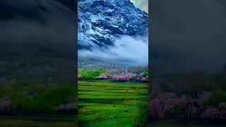 Skardu Valley Pakistan  the most beautiful place in Pakistan #ytshorts #shortvideo #youtube