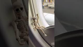 Mr.Bones goes on vacation. I’m so jealous. #skeleton #stowaway #vacation