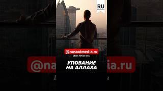 Упование на Аллаха. #насаатмедиа #rec #rek #film #шейх_чубак_ажы #live #чубакажы #ислам #насаат