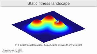 Using fitness landscapes to visualize evolution in action