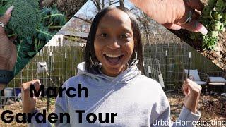 March 2025 Garden Tour | Urban Homesteading, VA Zone 7B