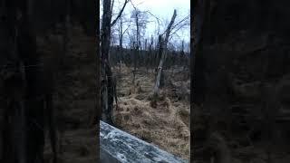 Government Island, stafford Virginia