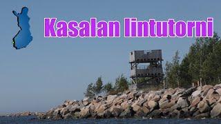 Kasalan lintutorni [4K]