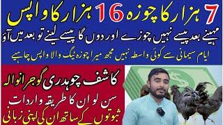 Ayam cemani Double sha Kashif Gujranwala exposed with evidence