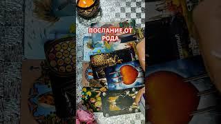 Послание от Рода