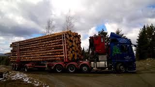 SISU Polar Timber truck with Eaton Fuller transmission hauling timber uphill