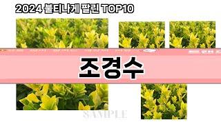 요즘 많이 팔린 조경수 추천 Top10