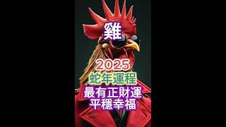 [肖雞]運程 | 高維冥想HDM | 2025蛇年生肖運程：財富、感情、事業與健康[重點指南]！[三大關鍵月份提醒]！把握好運！智慧避兇，#財運 #感情運 #事業運 #健康運 #生肖運程 #運勢分析