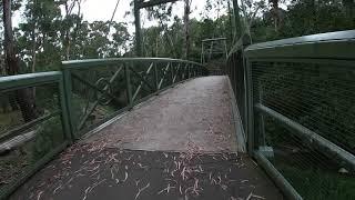 Bike Trail, Bridges, Mullum Mullum Trail