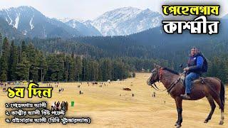 Mini Switzerland Tour | Pahalgam Valley | Kashmir Valley | Baisaran Valley | Flying Bird |