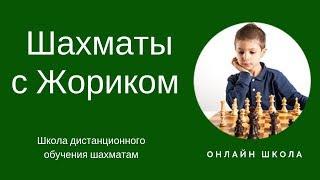 Шахматы с Жориком Школа обучения шахматам
