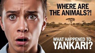 Exploring Yankari Game Reserve – But Where Are the Animals? | Disappointed at Yankari Game Reserve