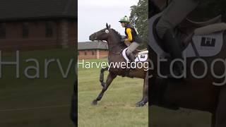 Harveywetdog favourites Nicky Hill and MGH Bingo Boy finding a fifth leg useful at Hartpury 2018