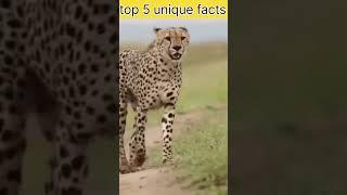 80 cr me milta hai is ka zeher  #viralvideo #fact #amazingfact