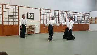 Taigi Demonstration: Taigi 11 (with Matt Doetsch-Kidder Sensei and Jon Poppele Sensei)