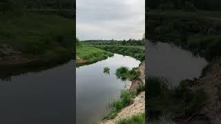 Река. Живая природа. Наедине с природой. #life #природа #nature #путешествия #нареке #наприроде