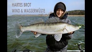 Hartes Brot: Wind & Wasserwüste! - Zanderangeln auf dem Bodden