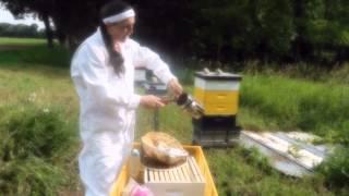 How to light a beehive smoker