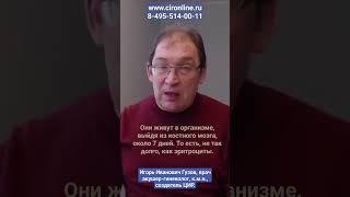 Тромбоциты: что такое тромбоциты и почему возможен конфликт по группам крови тромбоцитов.