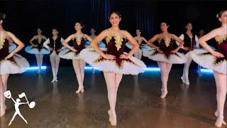 Paquita | Senior Classical Ballet Dance Class @ Nadia's Performance Studio
