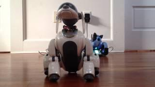 Aibo ERS-7m3 Voice Commands