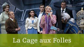 La Cage aux Folles – „Wir sind, was wir sind“ | Volksoper Wien