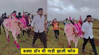 सोन्या ५०५० केसरी मैदानात #बकासुर / bailgada sharyat